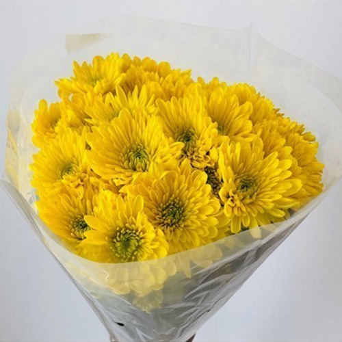Chrysanthemum bunch - yellow