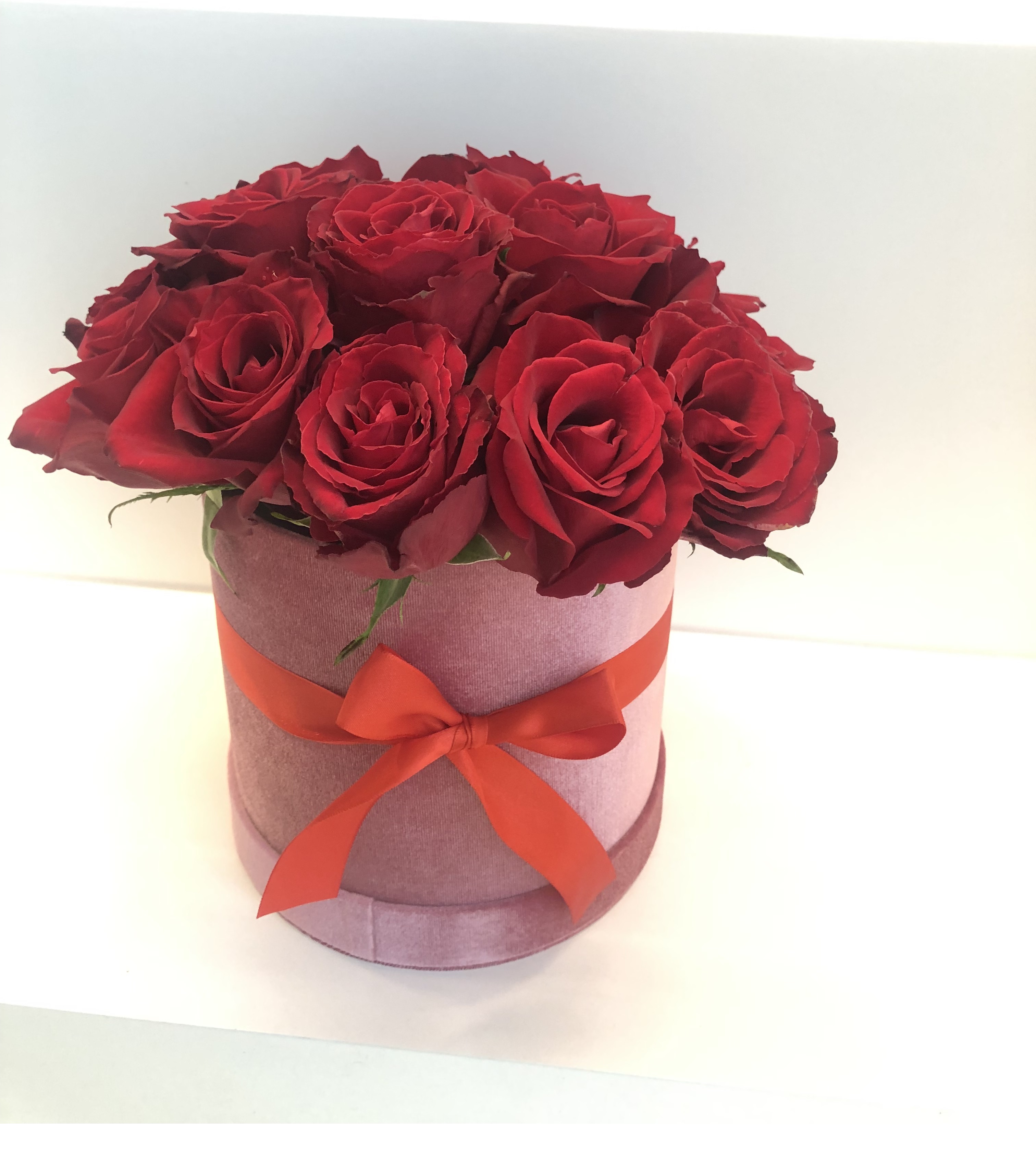 Red Roses in Pink Box